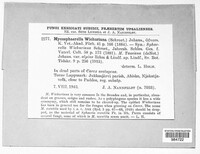 Image Associated With the Occurence